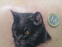 TATUAJE RETRATO DE GATO EN ESPALDA