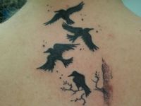 Pajaro-bird-tattoo-tatuaje-amor-de-madre-zamora-crows-pequeo-little-silueta