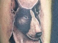 TATUAJE RETRATO BULTERRIER EN GEMELO