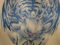 TATUAJE CABEZA DE TIGRE EN LA ESPALDA