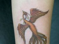 TATUAJE AVE FENIX BRAZO