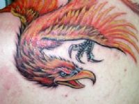 TATUAJE AVE FENIX COLOR  OMOPLARO