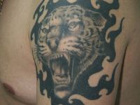 TATUAJE CABEZA DE TIGRE Y TRIBAL EN HOMBRO