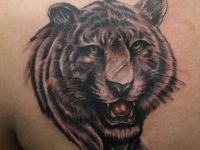 TATUAJE TIGRE OMOPLATO