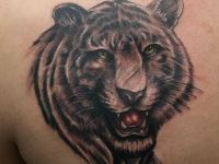 TATUAJE TIGRE OMOPLATO