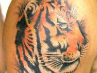 TATUAJE CABEZA DE TIGRE EN HOMBRO