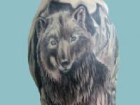 TATUAJE LOBO CON FONDO EN BRAZO