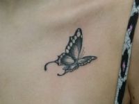 TATUAJE MARIPOSA EN PECHO