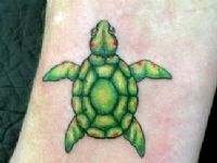 TATUAJE TORTUGA EN COLOR