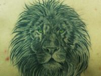 Leon-lion-rey-king-tattoo-tatuaje-amor-de-madre-zamora-espalda-back