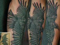 tapados-y-arreglos-tattoo-tauaje-cover-up-cuervo-crow