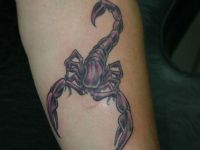 TATUAJE ESCORPION COLOR EN ANTEBRAZO