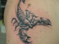 TATUAJE ESCORPION EN HOMBRO