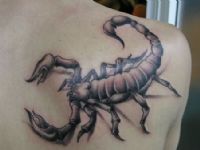 TATUAJE ESCORPION GIGANTE EN HOMOPLATO