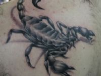 TATUAJE ESCORPION EN HOMOPLATO