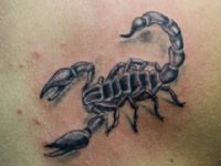 TATUAJE ESCORPION EN ESPALDA