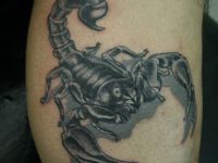 TATUAJE ESCORPION EN GEMELO