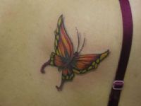 TATUAJE MARIPOSA COLOR EN HOMOPLATO