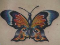 TATUAJE MARIPOSA COLOR ESPALDA