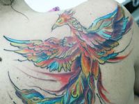 Fenix-pajaro-bird-color-colortattoo-tattoo-tatuaje-amor-de-madre-zamora